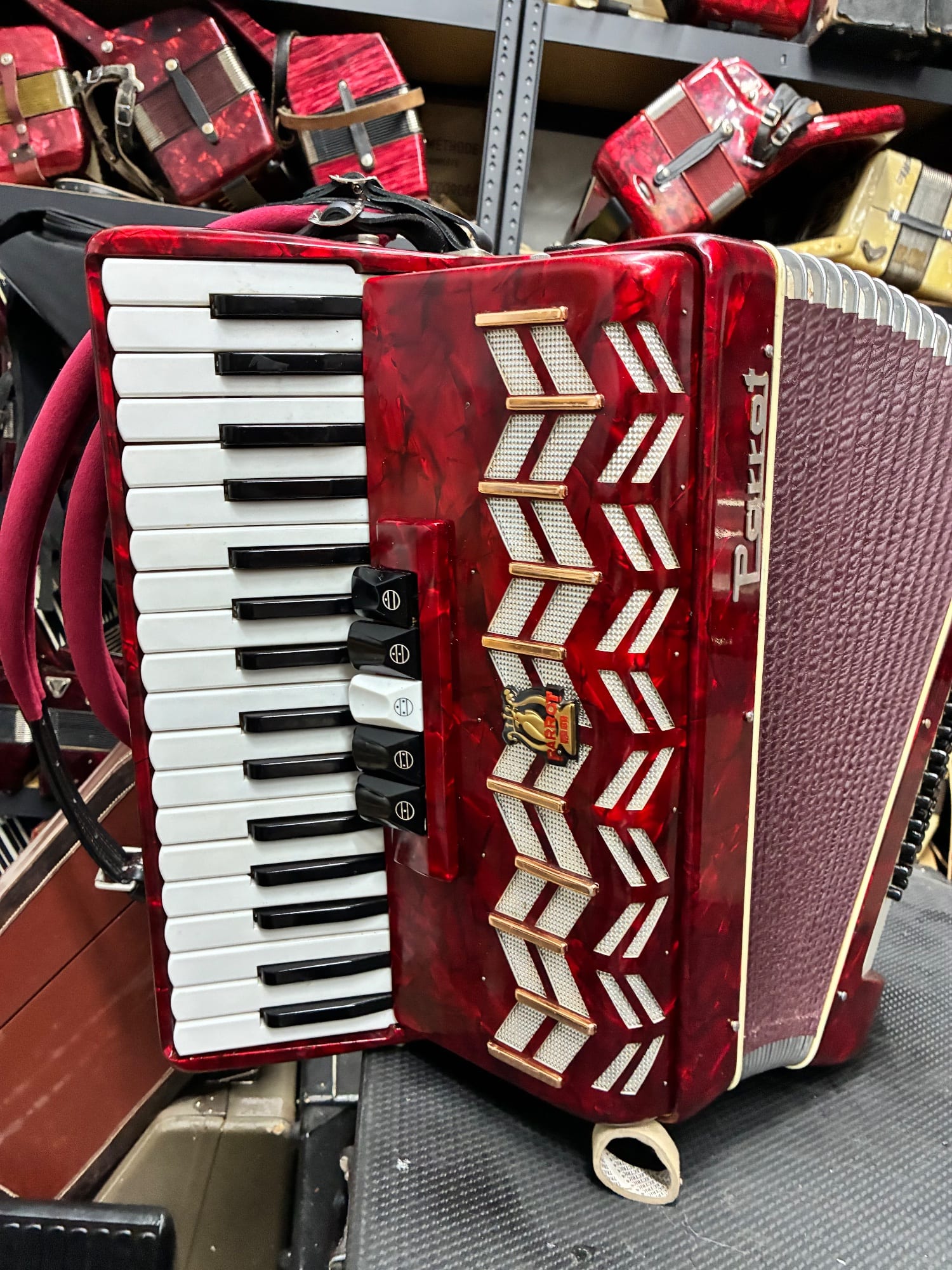 Acordeon Parrot cu 72 de bași
